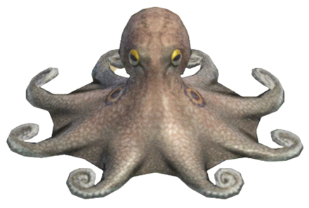 ACNH - Octopus