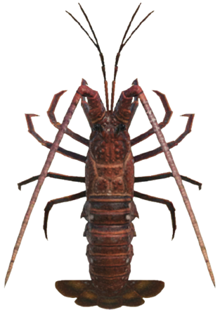 ACNH - Spiny Lobster