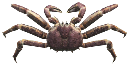 ACNH - Red King Crab