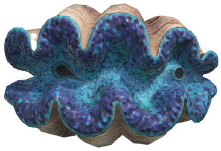 ACNH - Gigas Giant Clam