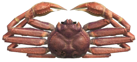 ACNH - Snow Crab