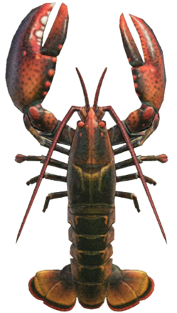 ACNH - Lobster