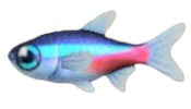 ACNH - Neon Tetra