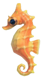 ACNH - Seahorse