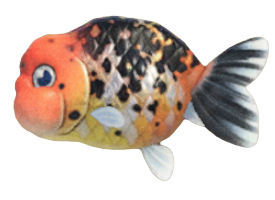 ACNH - Ranchu Goldfish