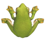 ACNH - Frog