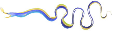 ACNH - Ribbon Eel