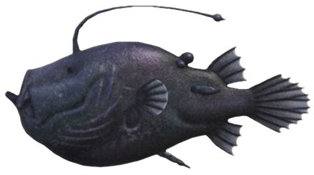 ACNH - Football Fish