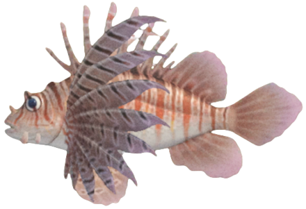 ACNH - Zebra Turkeyfish