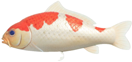 ACNH - Koi