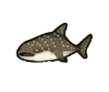ACNH - Whale Shark