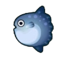 ACNH - Ocean Sunfish