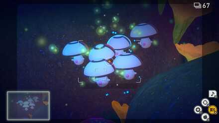 Foongus in the Air.jpg