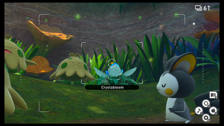 Side Path Day - Crystabloom 1