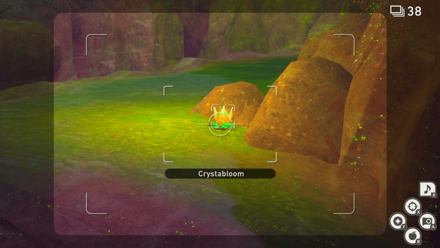 New Pokemon Snap - Badlands (Night) Crystabloom2