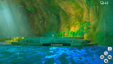 New Pokemon Snap - River (Day) Crystabloom5