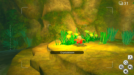 New Pokemon Snap - River (Day) Crystabloom6