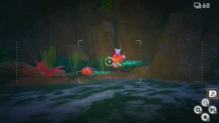 Wake Up Magikarp.jpg