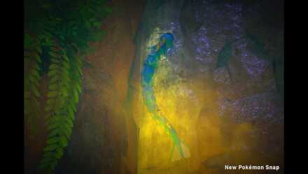 Lurking in the Water