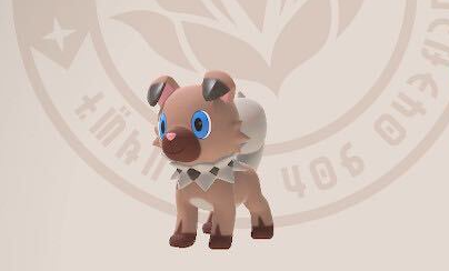 Rockruff