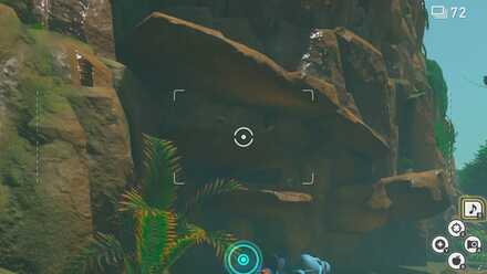 Drilbur on the Cliffs.jpg