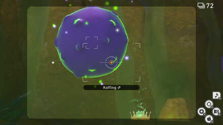 Inflated Koffing.jpg