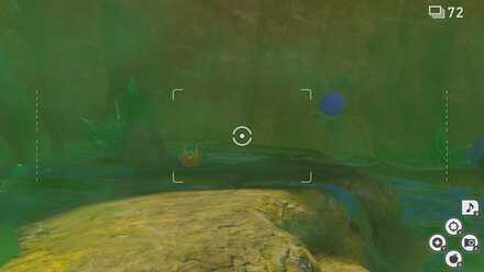 Koffing with Crystabloom.jpg