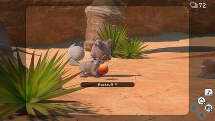 Hit Rockruff with Fluffruit.jpg