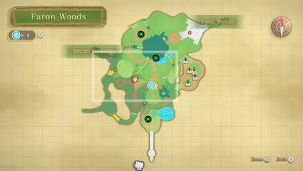 Woodland Rhino Beetle - Faron Woods