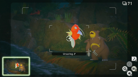 New Pokemon Snap - Majestic Ursaring Request Step3