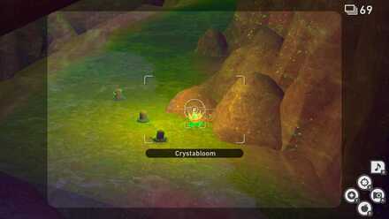 Light Up Crystabloom in Valley.jpg