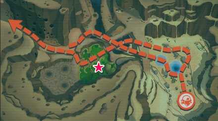 Gigantic Koffing Map.jpg