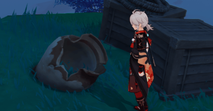 Bake-Danuki Broken Pottery