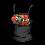 Black-Scarlet Blossom