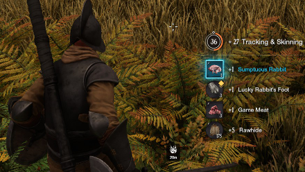 New World - How to Level Up Tracking and Skinning