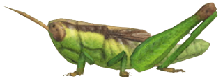 ACNH - Rice Grasshopper