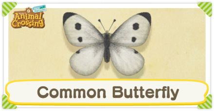 Common Butterfly Times