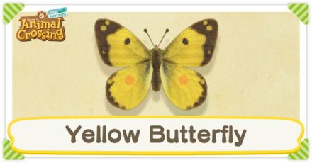Yellow Butterfly Times