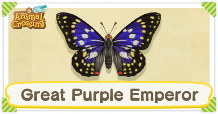 Great Purple Emperor Times