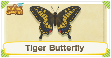 Tiger Butterfly Times