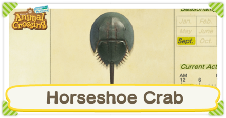 Horseshoe Crab Times