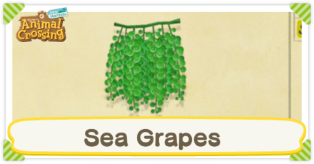 Sea Grapes Price Shadow Size Times And How To Catch Acnh Animal Crossing New Horizons Switch Game8