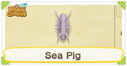 Sea Pig Times