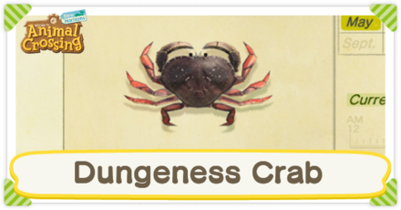 Catch Dungeness Crab