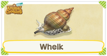 Whelk Times