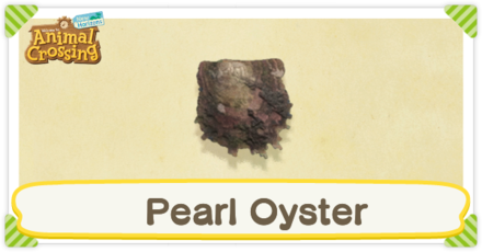 Pearl Oyster Times