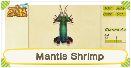 Mantis Shrimp Times