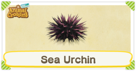 Sea Urchin Times