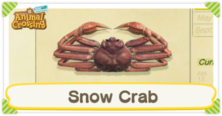 Snow Crab Times