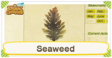Seaweed Times
